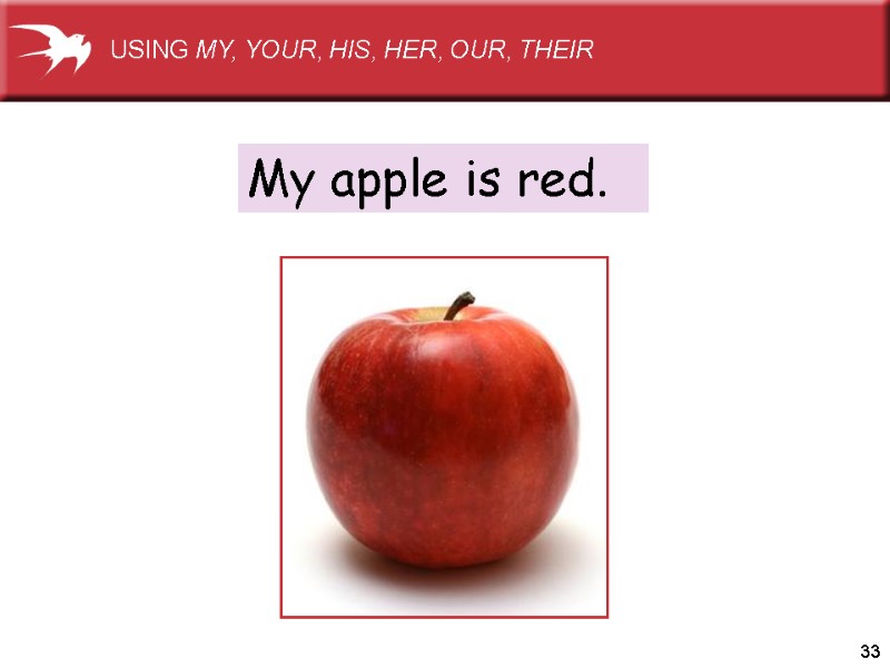 33 My apple is red. USING MY, YOUR, HIS, HER, OUR, THEIR